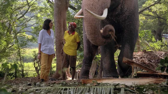 FAUT PAS RÊVER AU SRI LANKA ET EN SICILE 