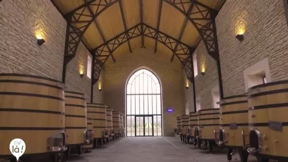 Cuverie Domaine  Faiveley Nuits-Saint-Georges Cuverie Domaine  Faiveley Nuits-Saint-Georges