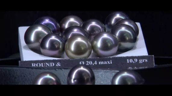 tf au coeur de la perle