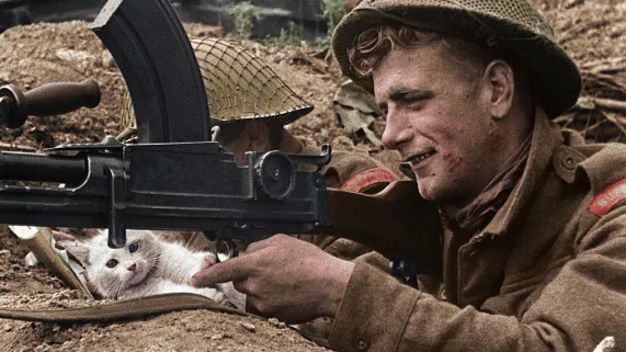 39-45, les animaux dans la guerre