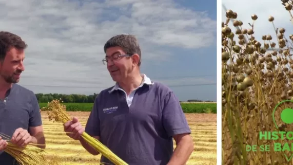 HDSB La vallée du lin HDSB La vallée du lin