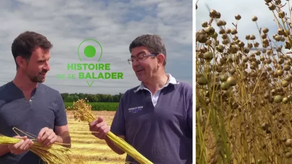 HDSB : La vallée du lin HDSB : La vallée du lin