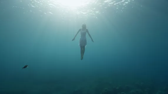 Un documentaire inédit de Jérôme Espla © Poisson-Lune Productions "Méditerranée"