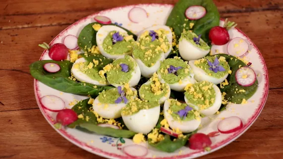 effeuillé d'oeuf au cresson 