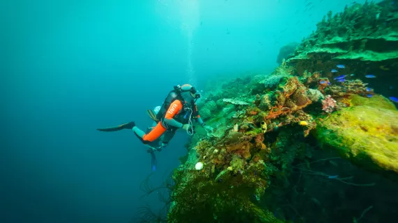 © Pete West - BioQuest Studios - Tara Expeditions Foundation TARA EXPEDITIONS