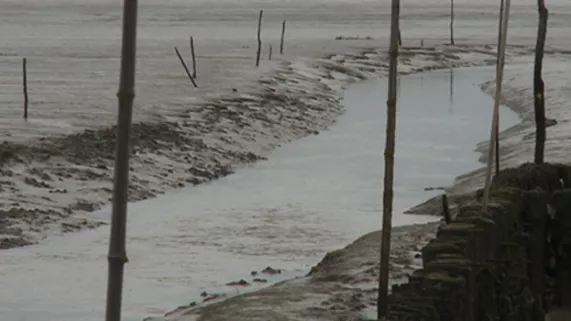 les oubliés de l'estuaire