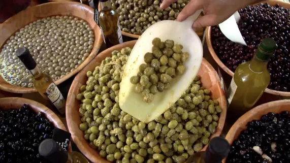 L'OLIVE, UN VER DANS LE FRUIT ?