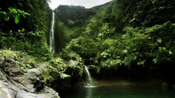 ©FTV coeur outre-mer