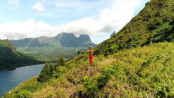 © ONESIA/ATAMEA 2018 PARI PARI FENUA