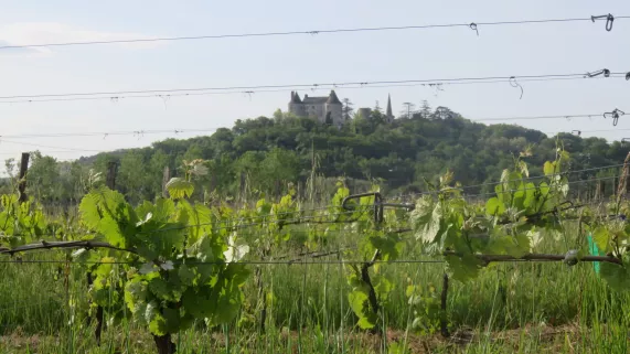 Le château de Buzet