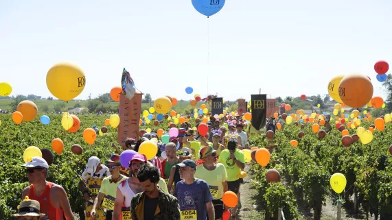 marathon du Médoc © amcm-Manguy