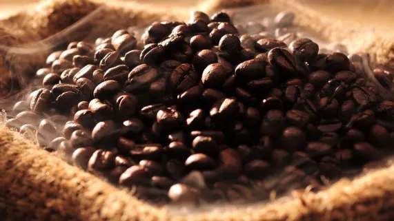 graines café