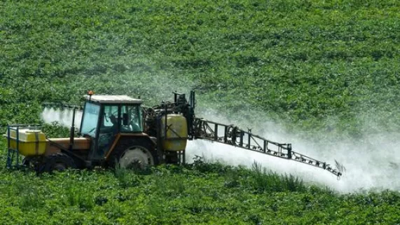 glyphosate