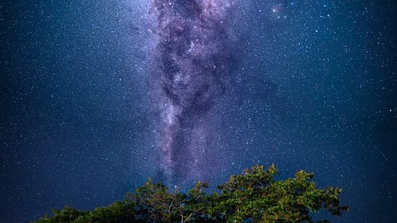 la nuit de la fiction