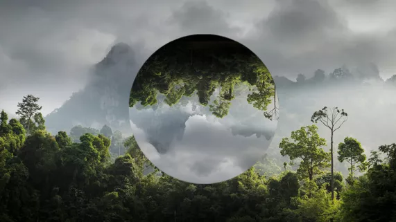 Environnement