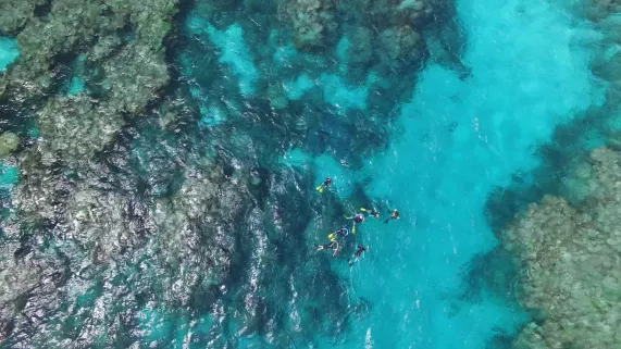 Sur les front des océans ©Winter productions