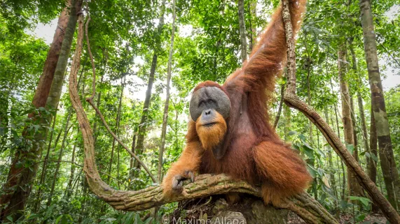 19/20 en direct de Montier-en-Der © Maxime Aliaga 19/20 en direct de Montier-en-Der © Maxime Aliaga