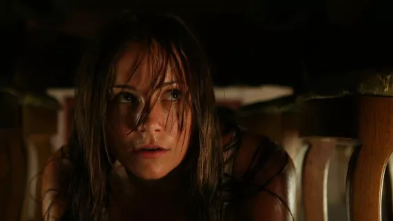 DANS L'OEIL DU TIGRE