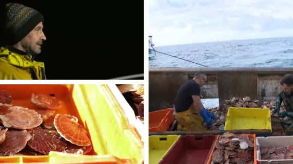 Vachement Normand : La vie à bord d'un chalutier Vachement Normand : La vie à bord d'un chalutier