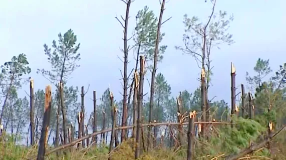 Il y a 20 ans, la tempête du siècle 