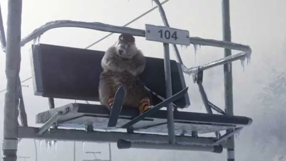 Marmottes les bronzés font du ski Marmottes les bronzés font du ski