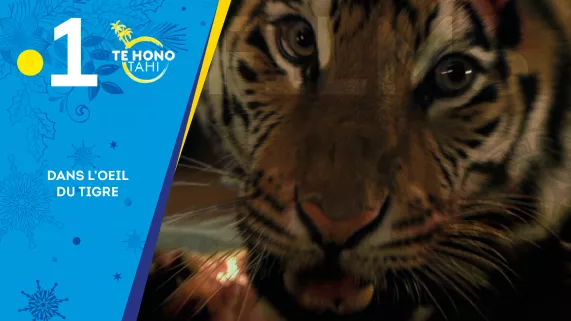 Film dans l'oeil du tigre