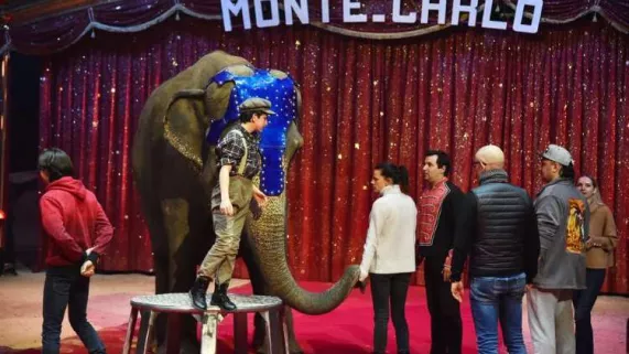 43EME FESTIVAL DU CIRQUE DE MONTE CARLO