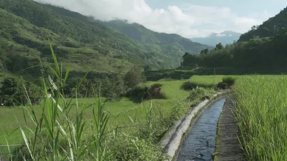TERRES NOURRICIÈRES