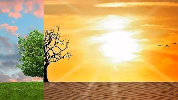 © Pixabay Climat : quelle mobilisation ?