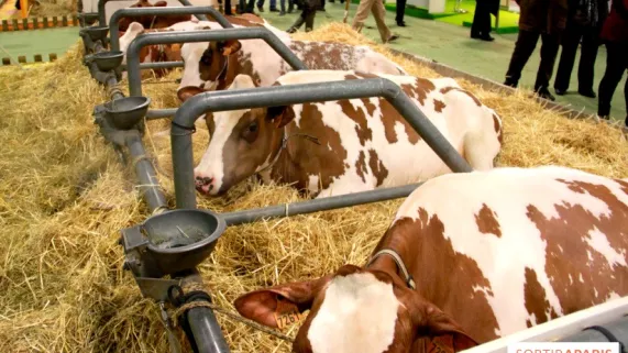 Salon de l'agriculture