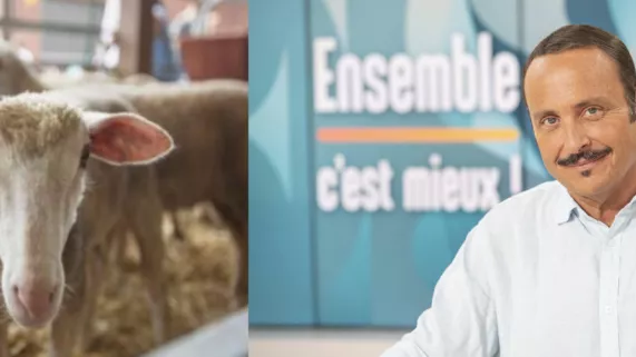 Le grand concours des régions au SIA 2020