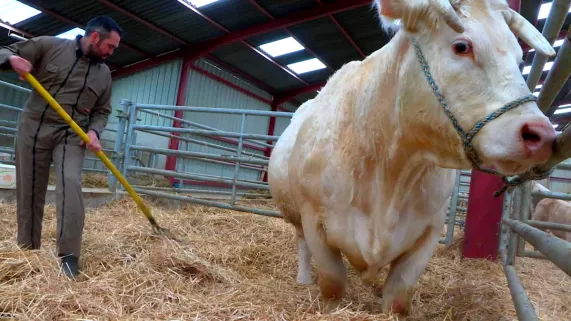 © Laure Crozat, FTV