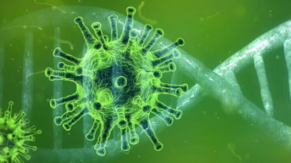 Coronavirus @pixabay