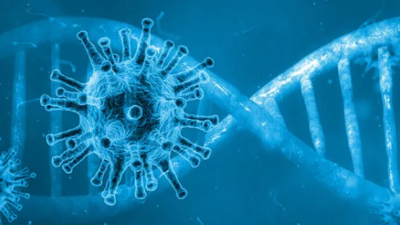 Émission spéciale Coronavirus 