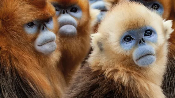 UNE PLANÈTE DEUX MONDES SAUVAGES