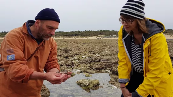 A la pêche à pieds 