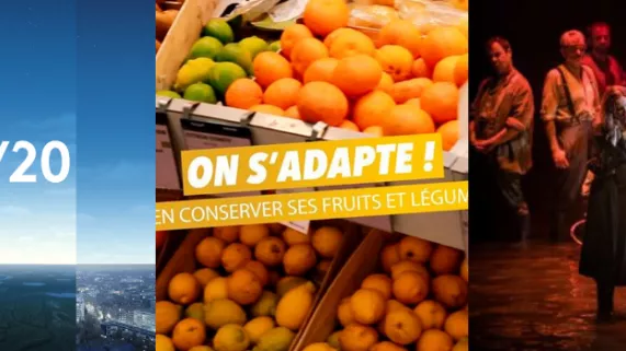 REGIONS CONFINEES REGIONS CONFINEES