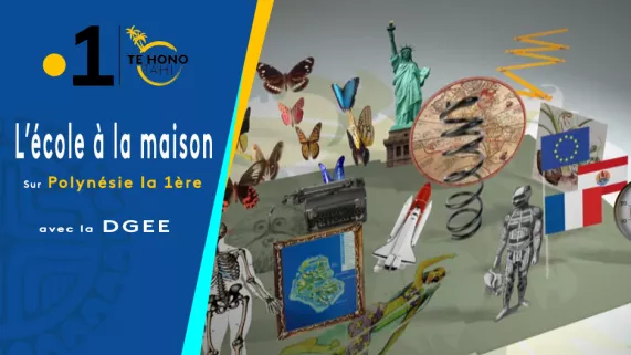 @servicecommunicationpolynesiela1ere Continuité pédagogique - DGEE