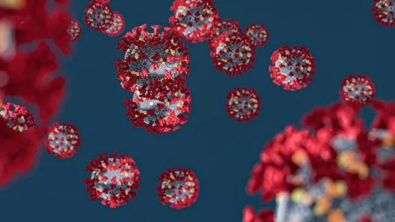 Coronavirus