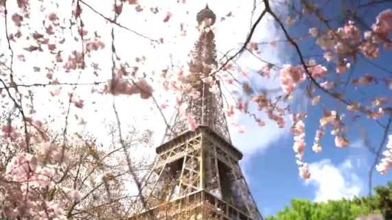 Tour Eiffel  Tour Eiffel