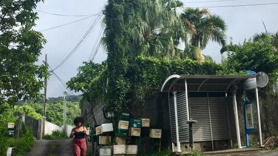 ©Tarama production ARCHIPELS : LES FILLES DU COIN