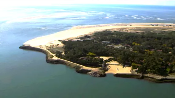 Le paradis d'Hortense