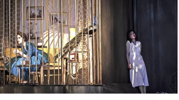 Calisto _ crédit Ozango Productions Calisto _ crédit Ozango Productions