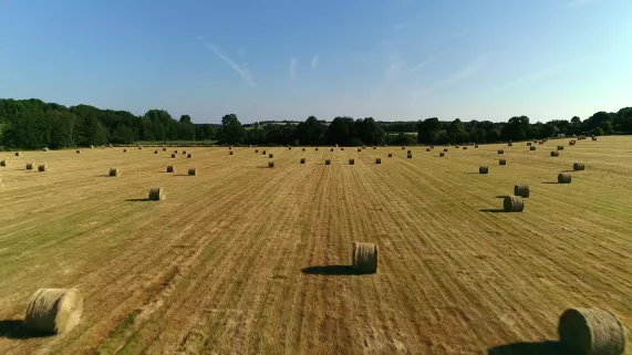 LES 100 LIEUX QU'IL FAUT VOIR