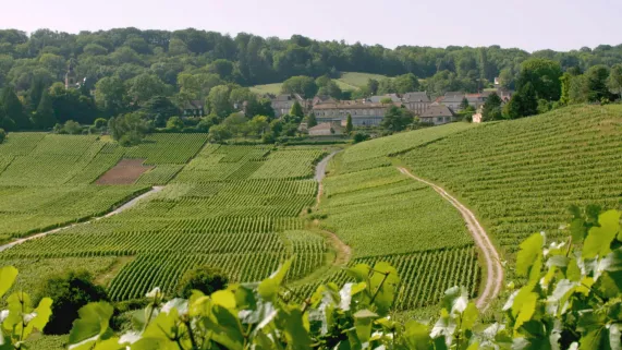 LES 100 LIEUX QU'IL FAUT VOIR