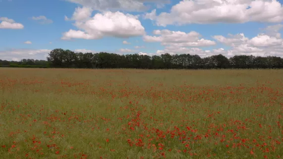 LES 100 LIEUX QU'IL FAUT VOIR
