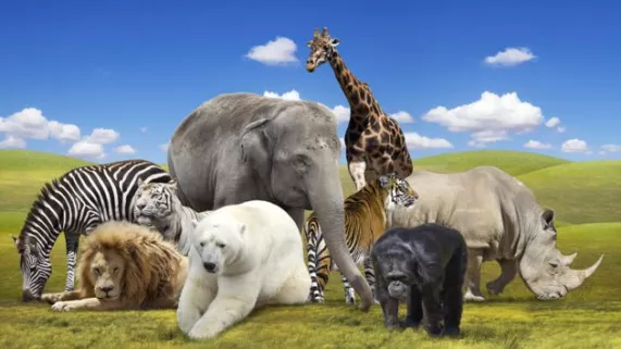 UN JOUR DANS LA NATURE UN JOUR DANS LA NATURE