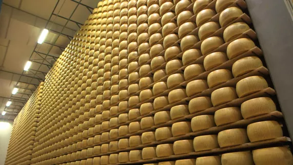 PARMESAN, râpe-moi si tu peux