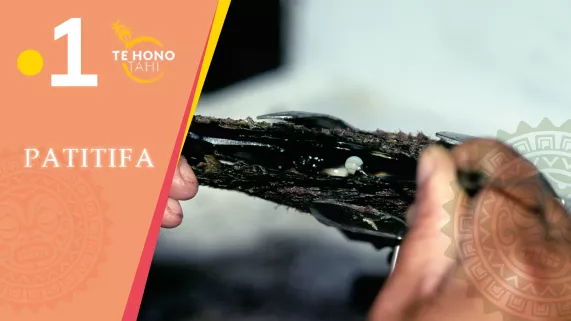 Poe Rava, histoire du premier greffeur Poe Rava, histoire du premier greffeur