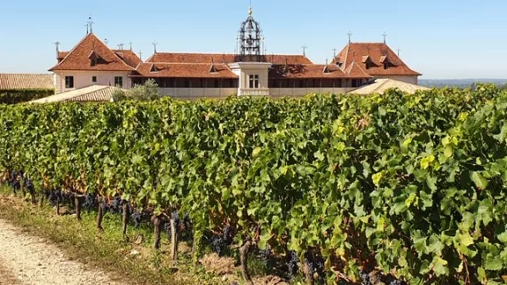 Bis à Saint-Emilion - Château Angélus 
